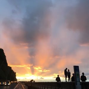 Meet your Posher, Bailey